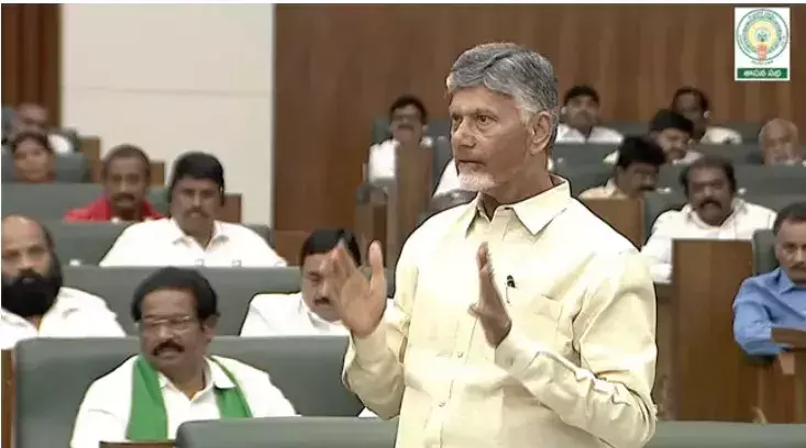 CBN: ఉద్యాన రంగం మరో గేమ్ ఛేంజర్