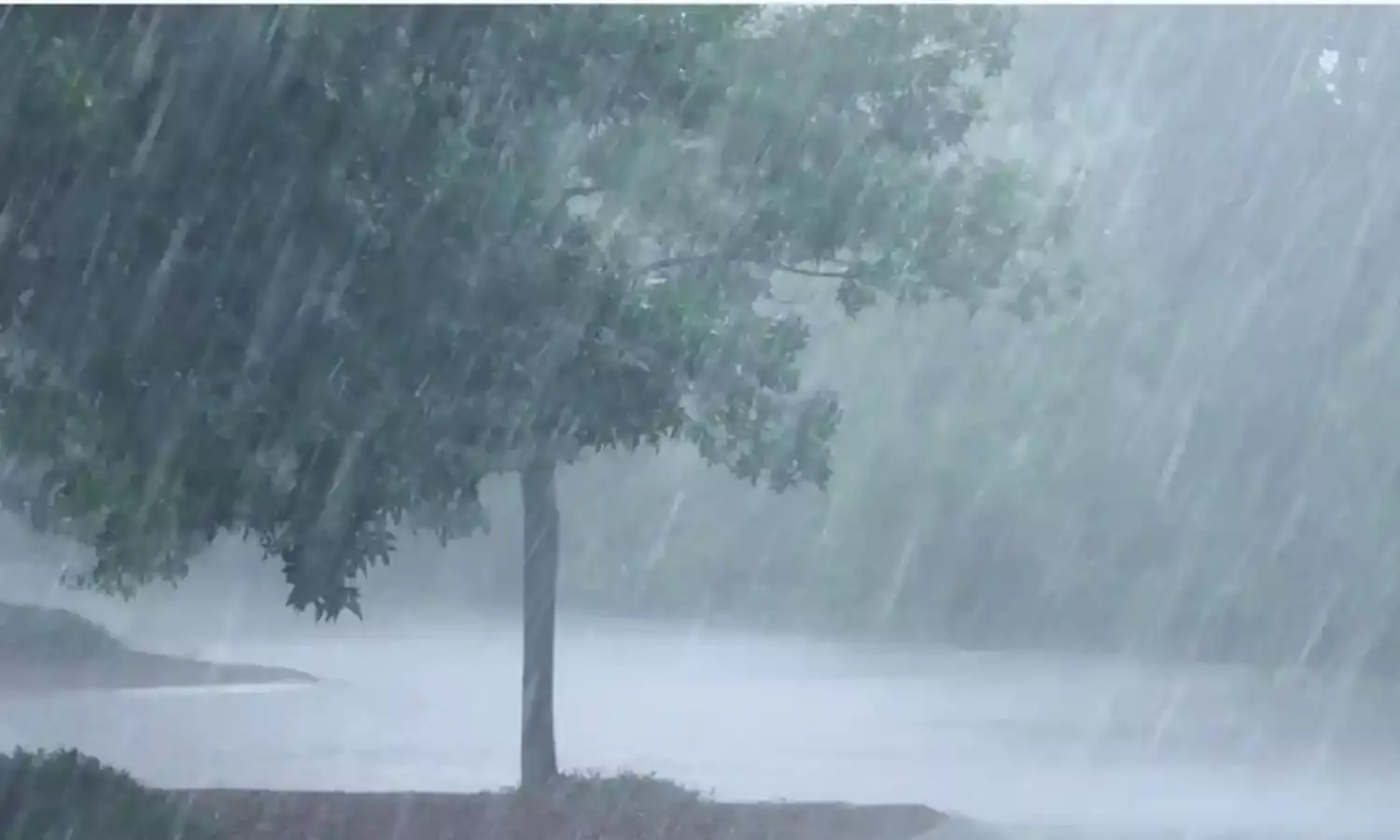 RAINS: తెలుగు రాష్ట్రాల్లో విస్తారంగా వర్షాలు RAINS: తెలుగు రాష్ట్రాల్లో విస్తారంగా వర్షాలు