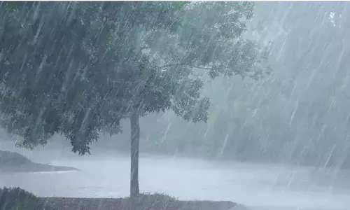 RAINS: తెలుగు రాష్ట్రాల్లో విస్తారంగా వర్షాలు RAINS: తెలుగు రాష్ట్రాల్లో విస్తారంగా వర్షాలు