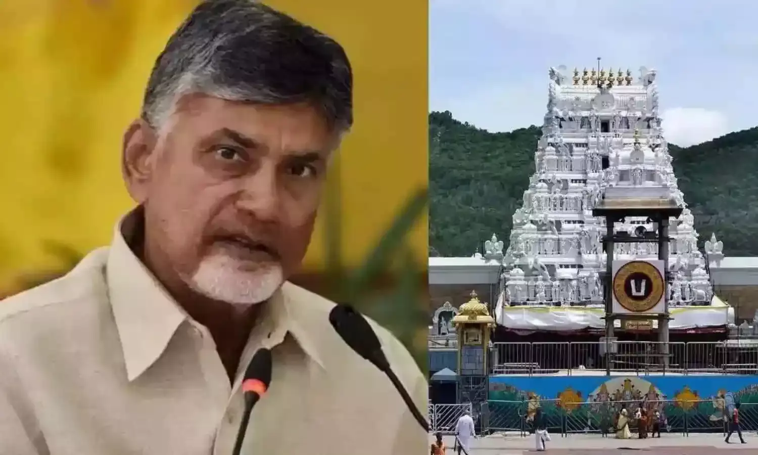 TTD : టీటీడీపై సీఎం చంద్రబాబు ప్రశంసలు TTD : టీటీడీపై సీఎం చంద్రబాబు ప్రశంసలు