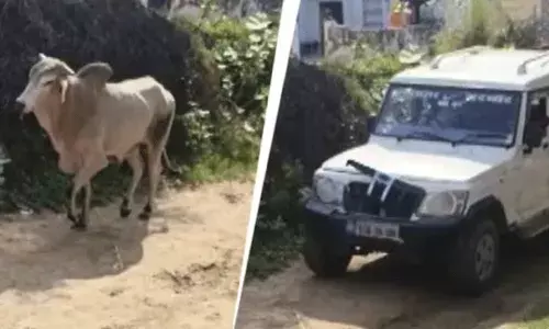 మనుషులు కాదు రాక్షసులు.. ఎద్దు SUV ని డ్యామేజ్ చేసిందని వ్యాన్ తో ఢీకొట్టి..