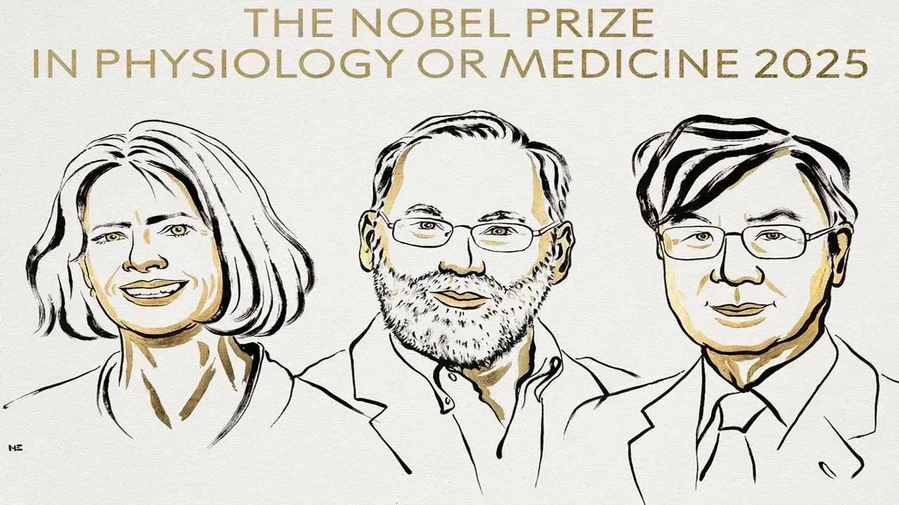 Nobel Prize: ముగ్గురు శాస్త్రవేత్తలకు వైద్యశాస్త్రంలో నోబెల్ పురస్కారం Nobel Prize: ముగ్గురు శాస్త్రవేత్తలకు వైద్యశాస్త్రంలో నోబెల్ పురస్కారం
