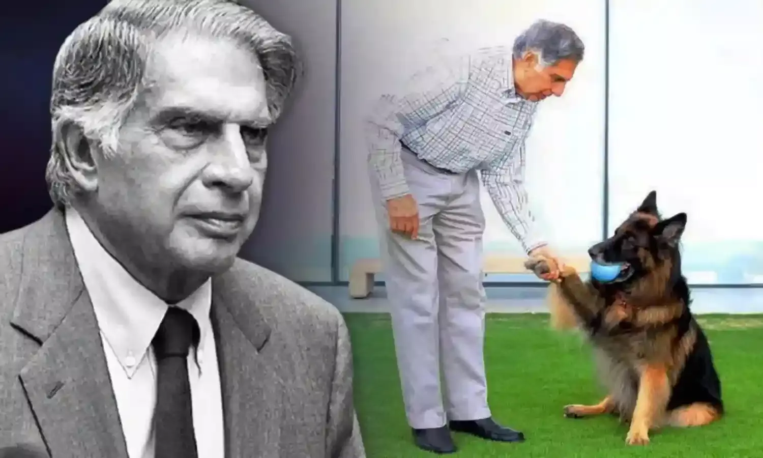 Ratan Tata : రతన్ టాటా పెంపుడు కుక్క టీటో రాజభోగం.. దానికి నెలకు రూ.30000 పెన్షన్ వస్తుందట. Ratan Tata : రతన్ టాటా పెంపుడు కుక్క టీటో రాజభోగం.. దానికి నెలకు రూ.30000 పెన్షన్ వస్తుందట.