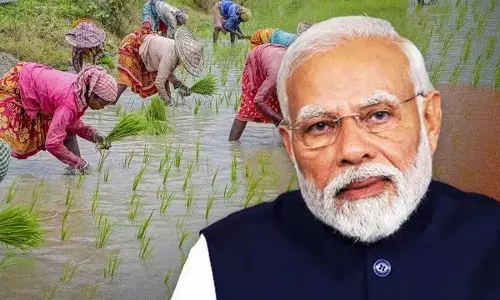 PM Kisan : రైతులకు గుడ్ న్యూస్.. దీపావళికి ముందే పీఎం కిసాన్ డబ్బులు.