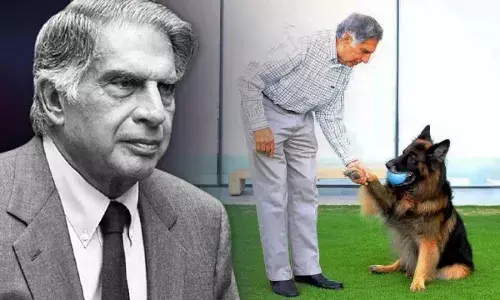 Ratan Tata : రతన్ టాటా పెంపుడు కుక్క టీటో రాజభోగం.. దానికి నెలకు రూ.30000 పెన్షన్ వస్తుందట.