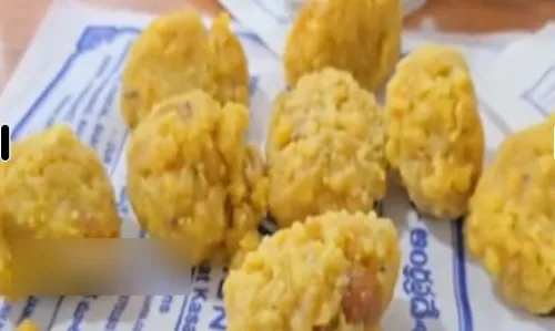LADDU: వేములవాడలో బూజు పట్టిన లడ్డూలు? LADDU: వేములవాడలో బూజు పట్టిన లడ్డూలు?