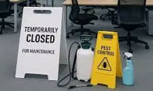 Google office: గూగుల్ ఆఫీస్ లో నల్లుల బెడద  .. ఉద్యోగులకు వర్క్‌ ఫ్రమ్‌ హోమ్‌!..!