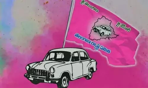 గులాబీ పార్టీకి గుర్తుల బెడద.. గులాబీ పార్టీకి గుర్తుల బెడద..