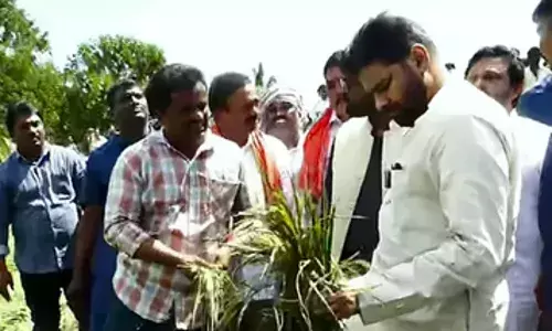 PAWAN: దెబ్బతిన్న పంటలను పరిశీలించిన డిప్యూటీ సీఎం