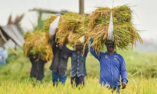 PM Kisan : పీఎం కిసాన్ 21వ విడత ఎందుకు ఆలస్యం అవుతుంది.. రైతులకు డబ్బులు ఎప్పుడు వస్తాయి ?