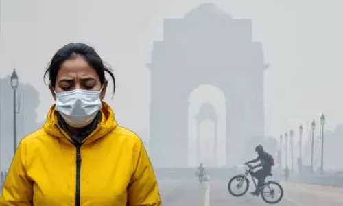 Delhi: రాజధానిలో శ్వాస తీసుకోవడం రోజుకు 8 సిగరెట్లు కాల్చడంతో సమానం..: నిపుణుల హెచ్చరిక