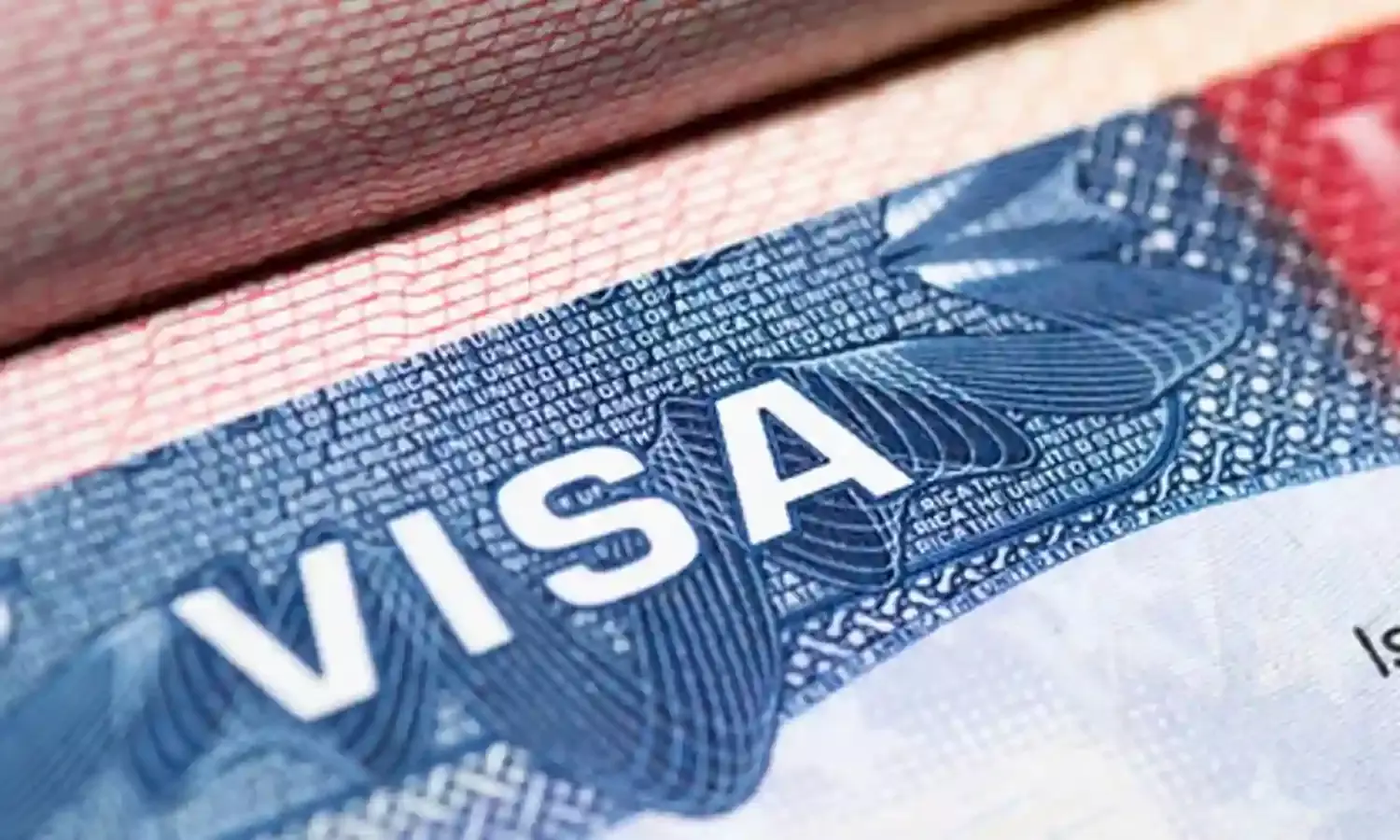 Visa : వీసా కావాలంటే ఫిట్‌గా ఉండాల్సిందే.. లావుగా ఉండి, షుగర్ ఉన్నవారికి నో ఎంట్రీ.