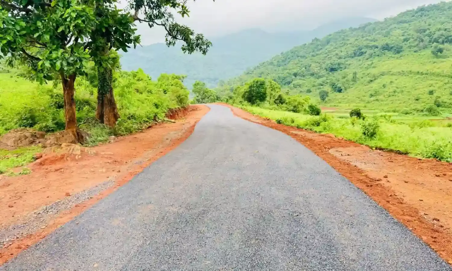 Andhra Pradesh : గిరిజన గూడేలకు రోడ్లు.. ఇది కదా పాలన అంటే