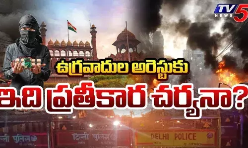 ఢిల్లీ పేలుడు వెనక ఉగ్ర కుట్ర..?