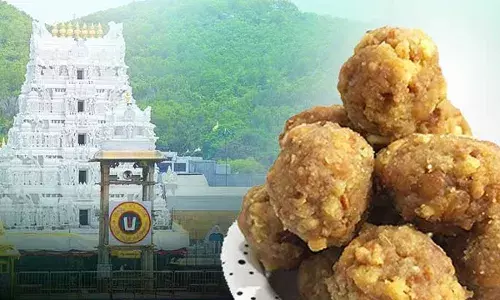 TTD : నెయ్యి కాదు కెమికల్.. లడ్డూ తయారీలో ఇంత దారుణమా