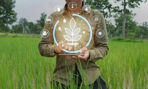 PMFBY : పీఎం ఫసల్ బీమా యోజనలో కీలక మార్పు.. ఇకపై అడవి జంతువుల దాడికి కూడా బీమా పరిహారం.