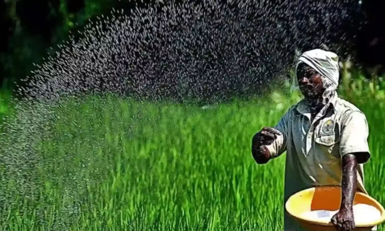 PM Kisan Scheme: పీఎం కిసాన్ డబ్బులు రాలేదా? అయితే ఈ 5 కారణాలు కావొచ్చు