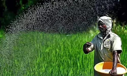 PM Kisan Scheme: పీఎం కిసాన్ డబ్బులు రాలేదా? అయితే ఈ 5 కారణాలు కావొచ్చు PM Kisan Scheme: పీఎం కిసాన్ డబ్బులు రాలేదా? అయితే ఈ 5 కారణాలు కావొచ్చు