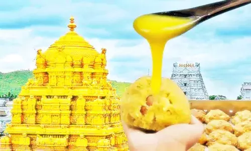 TTD : కల్తీ నెయ్యి పాపం.. హిందూ సంఘాల మౌనం దేనికి..? TTD : కల్తీ నెయ్యి పాపం.. హిందూ సంఘాల మౌనం దేనికి..?