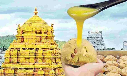 TTD : కల్తీ నెయ్యి కేసులో సంచలనం.. సుబ్రహ్మణ్యం వెనక వైసీపీ పెద్దలు TTD : కల్తీ నెయ్యి కేసులో సంచలనం.. సుబ్రహ్మణ్యం వెనక వైసీపీ పెద్దలు