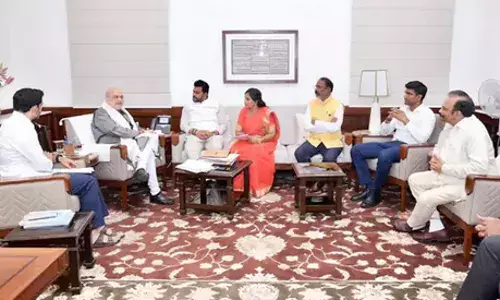 LOKESH: అమిత్ షాతో నారా లోకేశ్ భేటీ.. పంట నష్టంపై నివేదిక