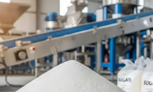 Sugar Production : చక్కెర మిల్లులలో బంపర్ రికార్డు.. తొలి రెండు నెలల్లోనే 4.1 మిలియన్ టన్నుల ఉత్పత్తి.