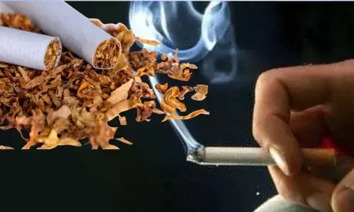 Central Excise Bill 2025 : ఇక భారీగా పెరగనున్న సిగరెట్, పాన్ మసాలా ధరలు..పొగాకు ఉత్పత్తులపై కొత్త పన్ను.