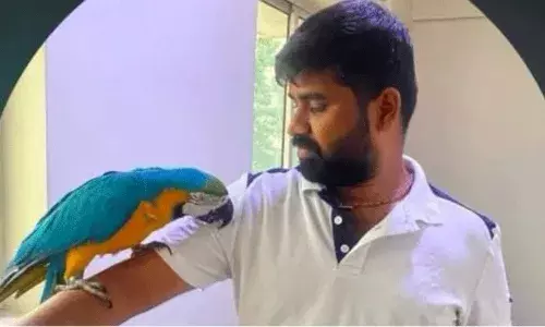 Bangalore: పెంపుడు చిలుకను కాపాడబోయి ప్రాణాలు కోల్పోయిన వ్యాపారి.. Bangalore: పెంపుడు చిలుకను కాపాడబోయి ప్రాణాలు కోల్పోయిన వ్యాపారి..