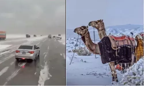 Saudi Arabia: ఏడారి ప్రాంతంలో కురుస్తున్న మంచు.. AI మాయాజాలం కాదు కదా అని ఆశ్చర్యపోతున్న జనం Saudi Arabia: ఏడారి ప్రాంతంలో కురుస్తున్న మంచు.. AI మాయాజాలం కాదు కదా అని ఆశ్చర్యపోతున్న జనం