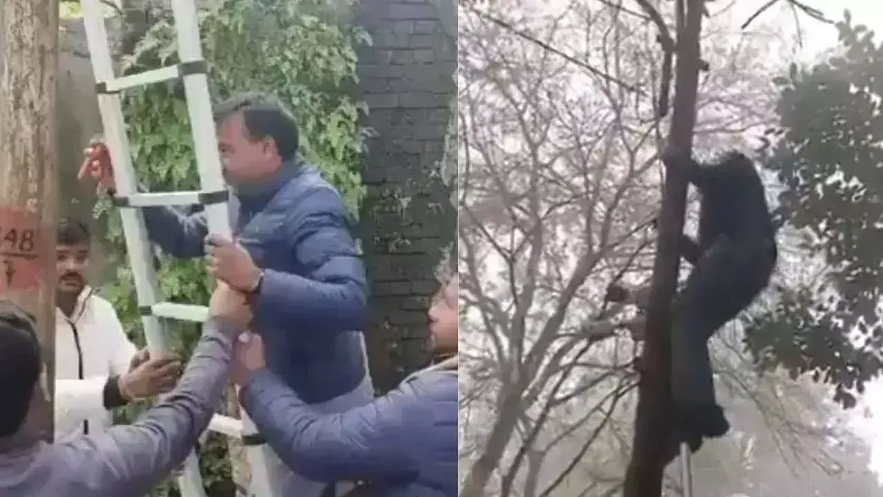 Congress MLA: విద్యుత్ కోతలపై కాంగ్రెస్​ ఎమ్మెల్యే వినూత్న నిరసన..