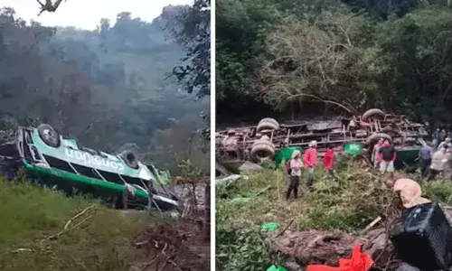 Mexico Road Accident: లోయలో పడిన బస్సు.. 10 మంది మృతి, 32 మందికి గాయాలు