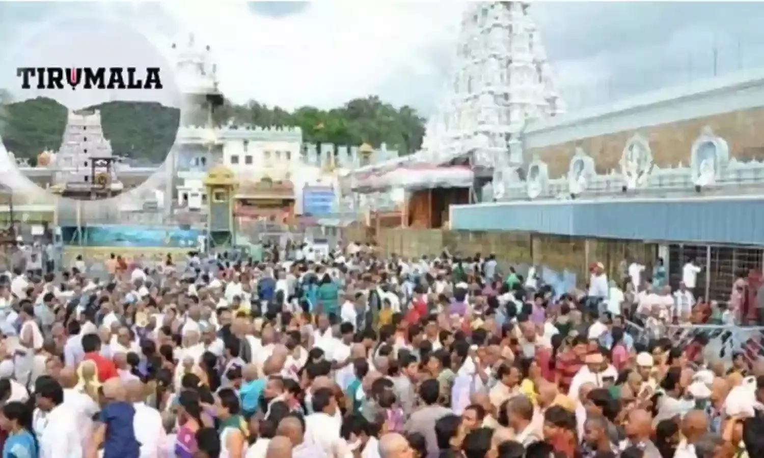 TTD:  తిరుమల వెళ్లే భక్తులకు బిగ్ అలెర్ట్