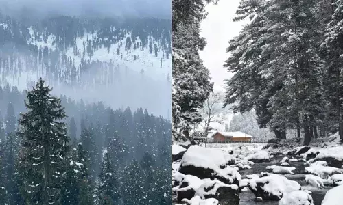Snow fall : కశ్మీర్‌ లోయలో పరుచుకున్న మంచు దుప్పటి..