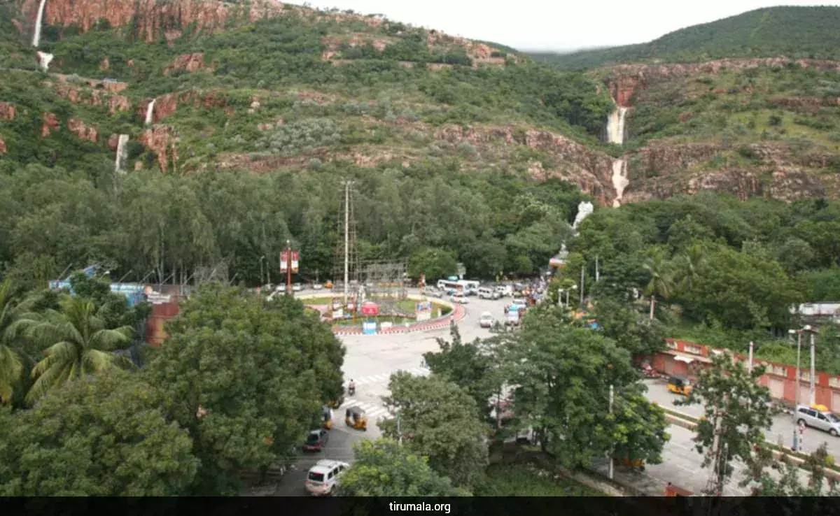 తిరుమల కొండపై సాక్షి మీడియా కుట్రలు