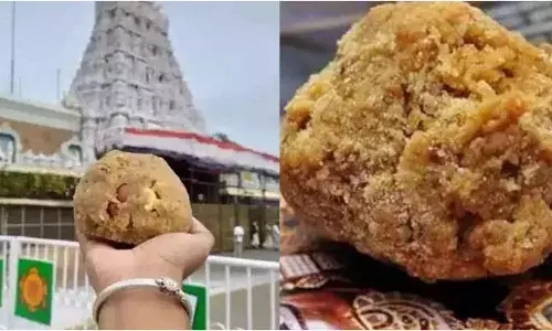 TTD: తిరుమల లడ్డు నెయ్యి కల్తీ కేసులో పెను సంచలనం TTD: తిరుమల లడ్డు నెయ్యి కల్తీ కేసులో పెను సంచలనం