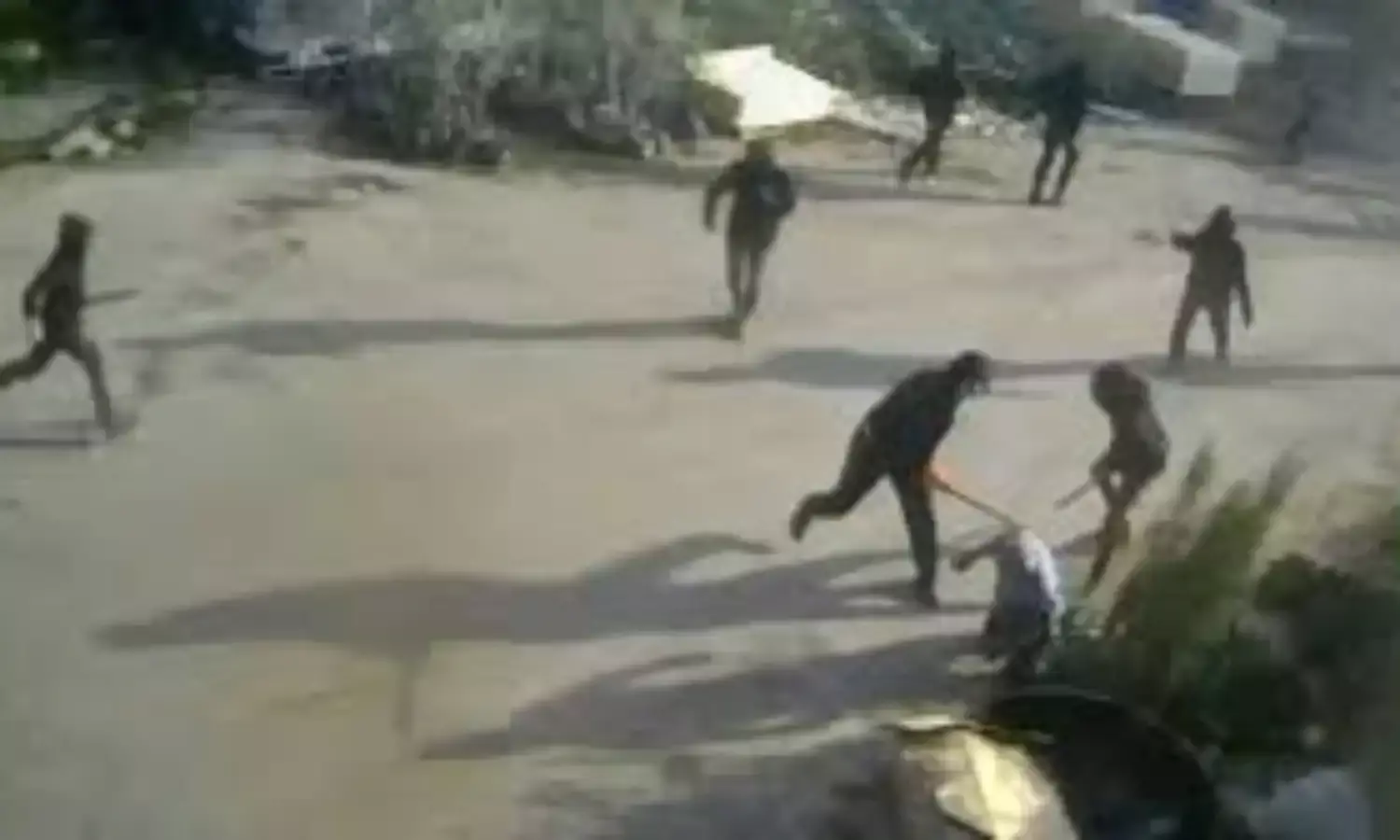 Israeli settlers: వృద్ధుడిపై ఇజ్రాయెల్ సెటిలర్ల అమానుష దాడి