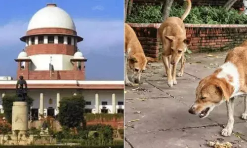 కుక్క కాటుకు గురై మరణిస్తే భారీ జరిమానా.. రాష్ట్రాలకు సుప్రీం హెచ్చరిక..