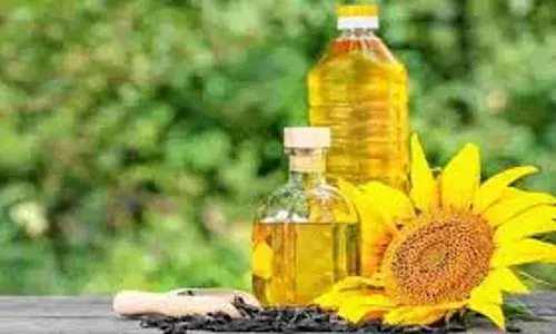 Edible Oils : పామాయిల్‌కు బై బై.. సోయాబీన్, సన్‌ఫ్లవర్ నూనెల కోసం ఎగబడుతున్న జనం.
