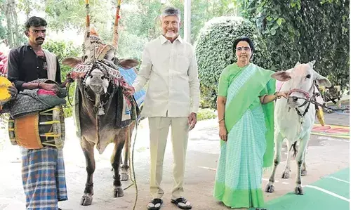 SANKRANTHI:  సీఎం స్వగ్రామం నారావారిపల్లెలో సంక్రాంతి సందడి