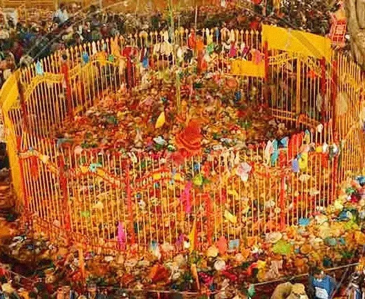 MEDARAM: మేడారానికి పోటెత్తిన భక్తులు