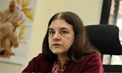 వీధి కుక్కల గొడవ.. సుప్రీం ఆదేశాలను విమర్శించిన మేనకపై ధర్మాసనం ఫైర్..