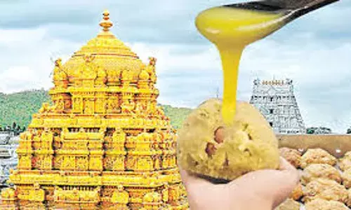 SIT: కల్తీ నెయ్యి ల్తీకేసు.. 36 మందిపై సిట్ ఛార్జ్‌షీట్!