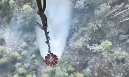 Forest Fire: అరుణాచల్‌ ప్రదేశ్‌ అడవుల్లో కార్చిచ్చు..