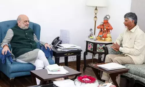 CBN: రాజధాని అమరావతికి చట్టబద్దత కల్పించండి