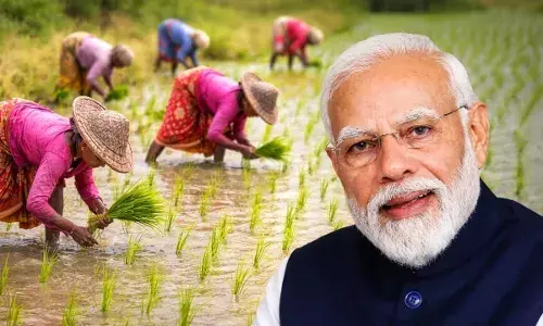 PM Kisan : రైతుల ఖాతాల్లోకి కాసుల వర్షం..హోలీ ముందే కేంద్రం భారీ గిఫ్ట్.