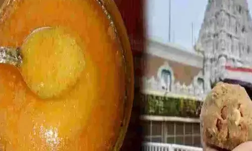 AP: కల్తీ నెయ్యిపై ఏకసభ్య కమిషన్ నియామకం