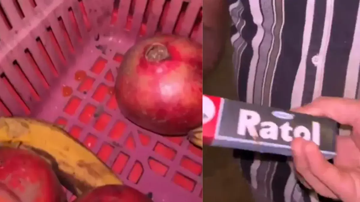 Rat Poison on Fruits: ఫ్రూట్స్ పై  ఎలుకల మందు పూస్తున్నారన్న ఆరోపణలతో వ్యాపారులు అరెస్ట్ .. ఎక్కడంటే
