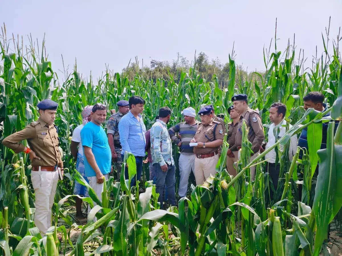 Bihar Crime: బీహార్‌లో 13 ఏళ్ల బాలుడి చేతిలో 9 ఏళ్ల బాలిక దారుణ హత్య