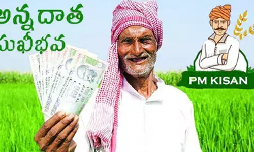 AP: ఏపీ రైతులకు ఉగాది కానుక AP: ఏపీ రైతులకు ఉగాది కానుక