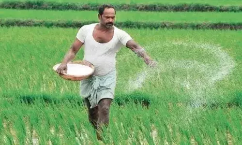 Fertilizer Crisis : రైతన్నకు కొత్త చిక్కులు.. అరేబియా సముద్రంలో ఉద్రిక్తతలతో ఎరువుల రేట్లకు రెక్కలు. Fertilizer Crisis : రైతన్నకు కొత్త చిక్కులు.. అరేబియా సముద్రంలో ఉద్రిక్తతలతో ఎరువుల రేట్లకు రెక్కలు.